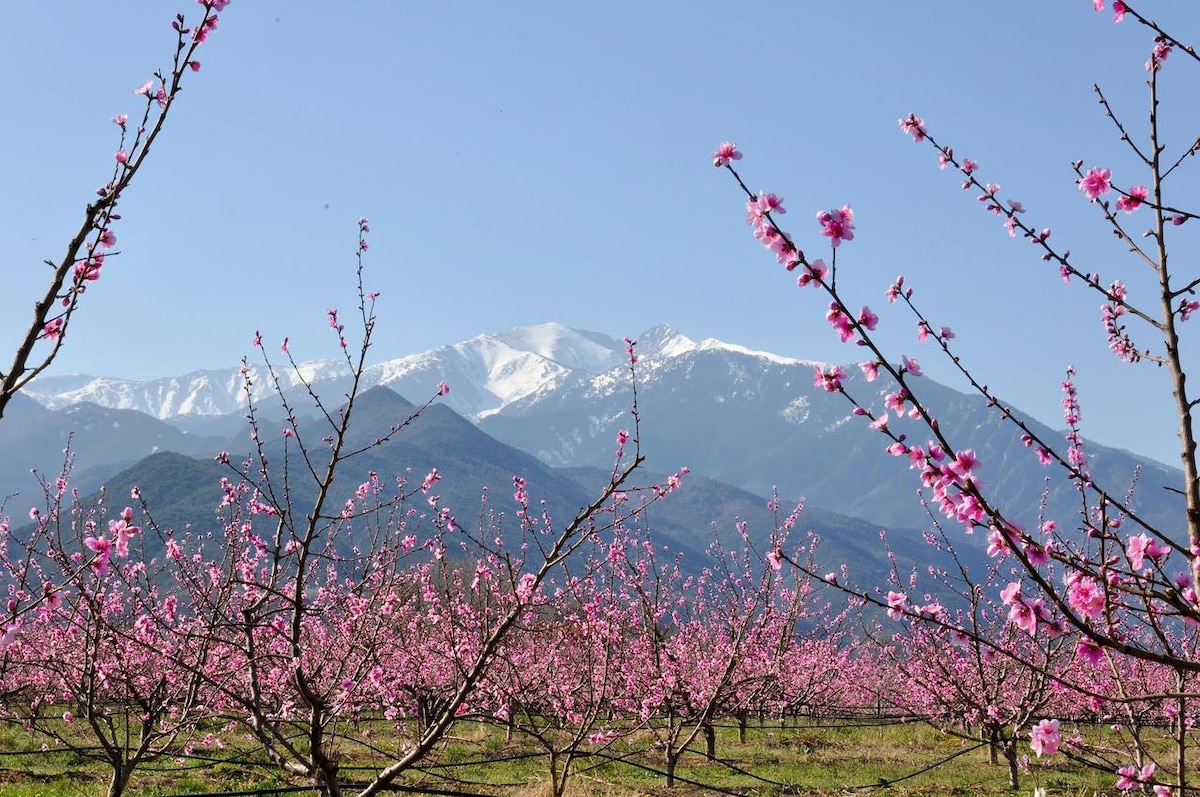 非常适合徒步旅行者， 4张床