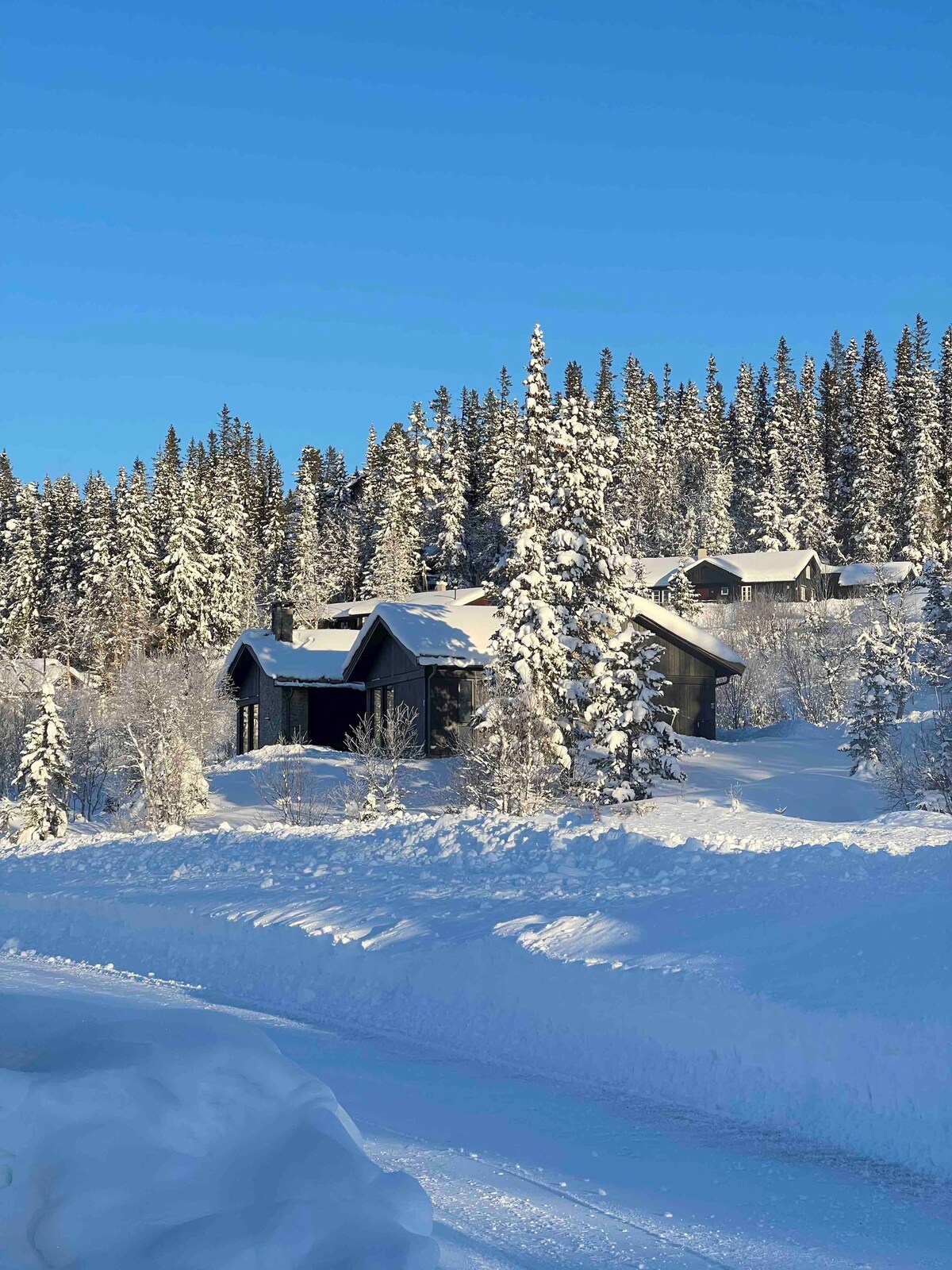 Arkitekttegnet Hytte Fjellrede i Tuddal