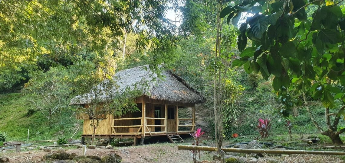 Cabaña Rustica en la selva