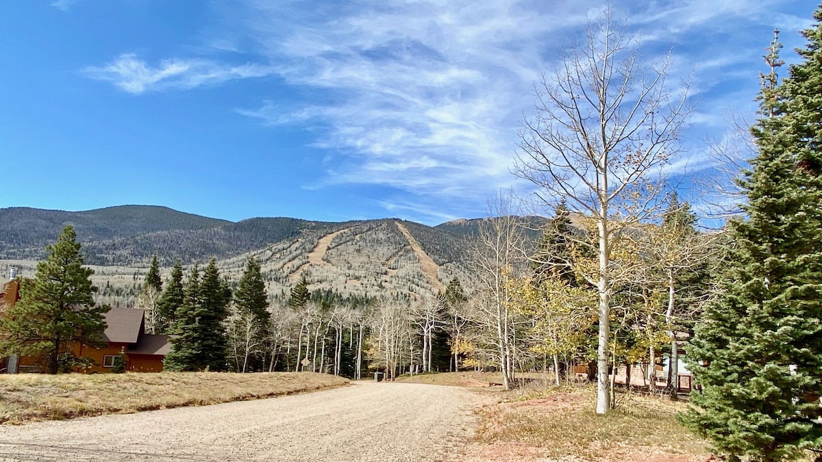 Relaxing, Bright, and Spacious Cuchara Log Home