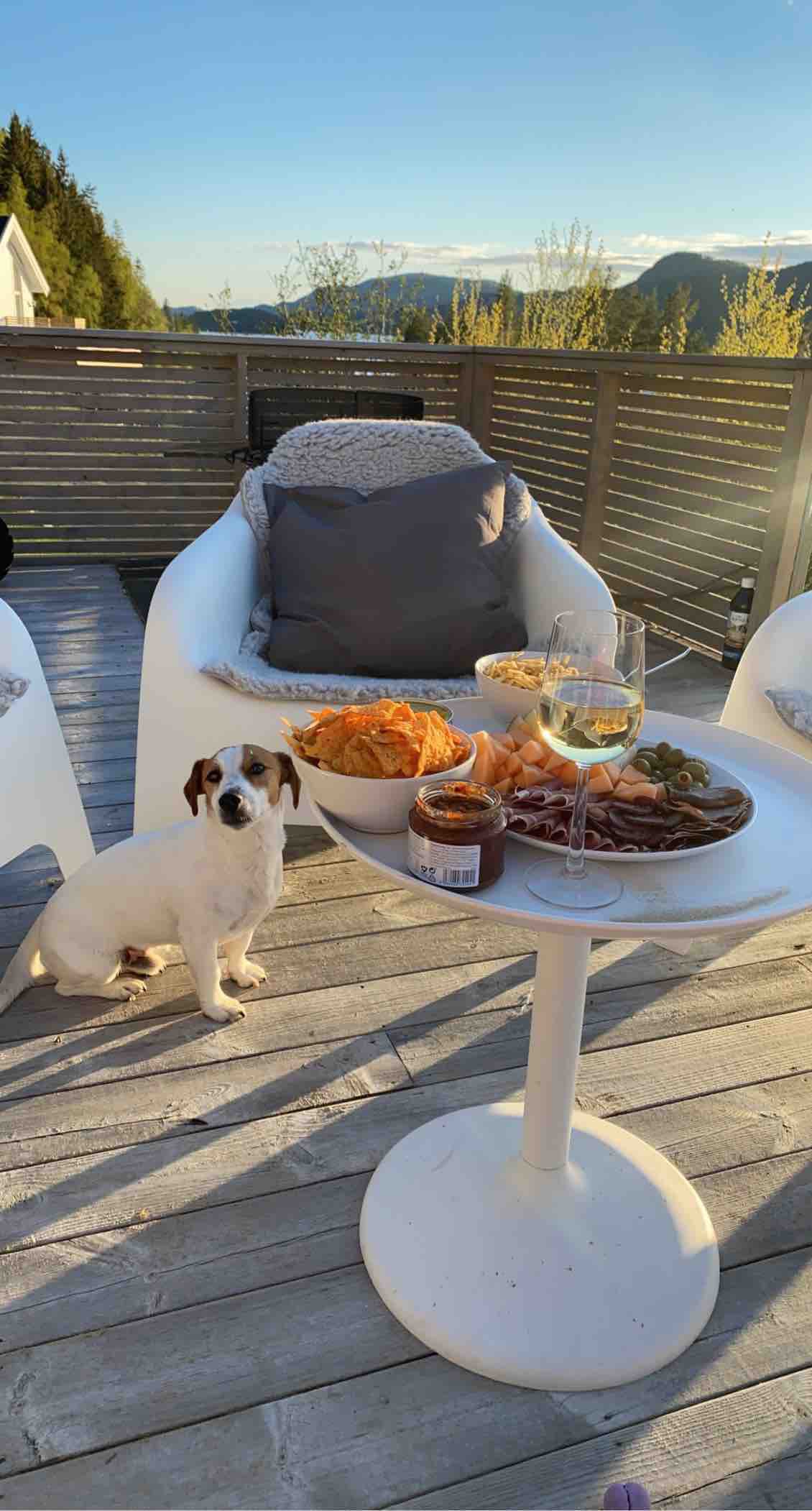 Sommerhus i vakre Åsenfjord. Brygge og badestrand