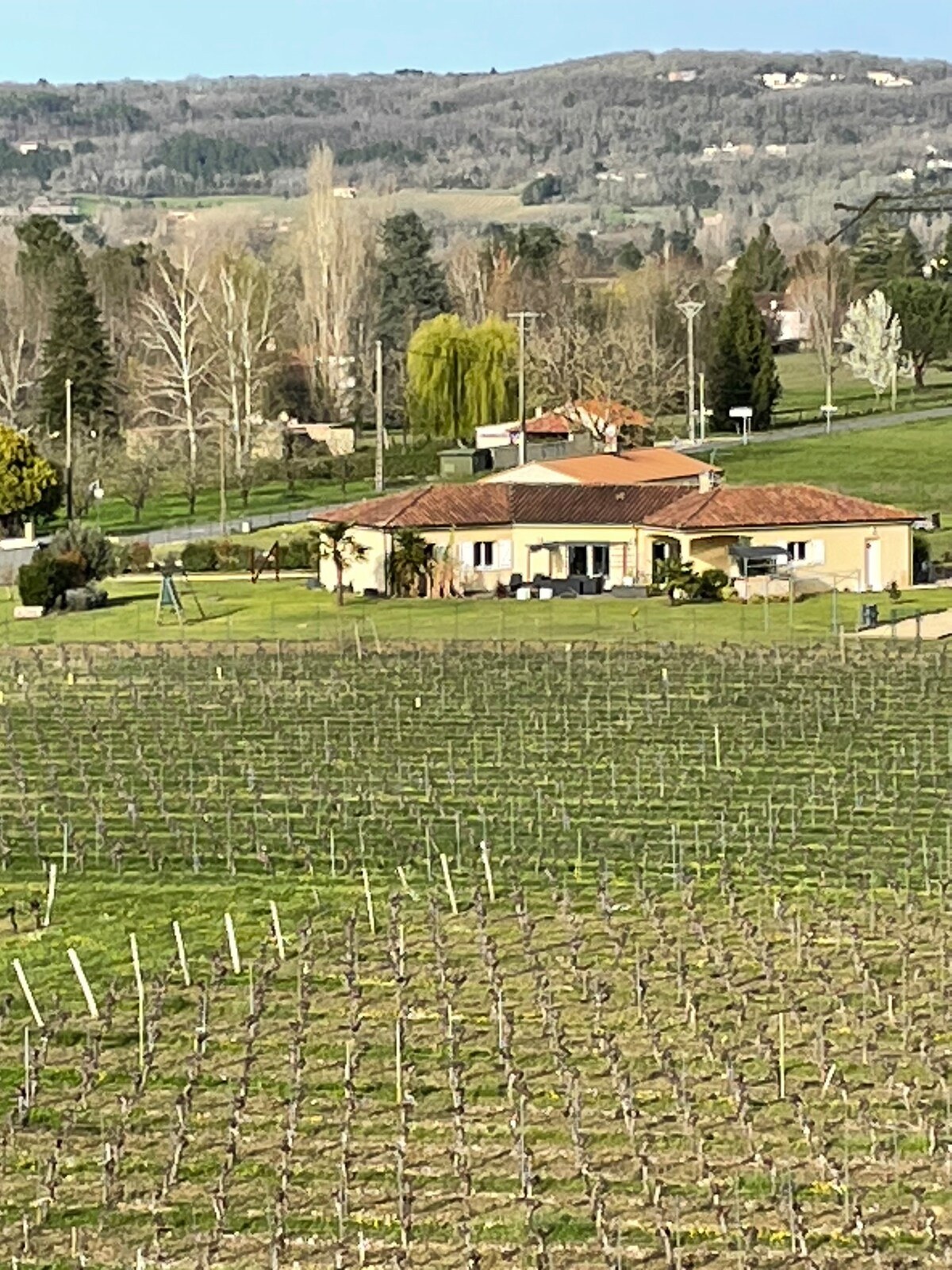 Villa dans les Vignes