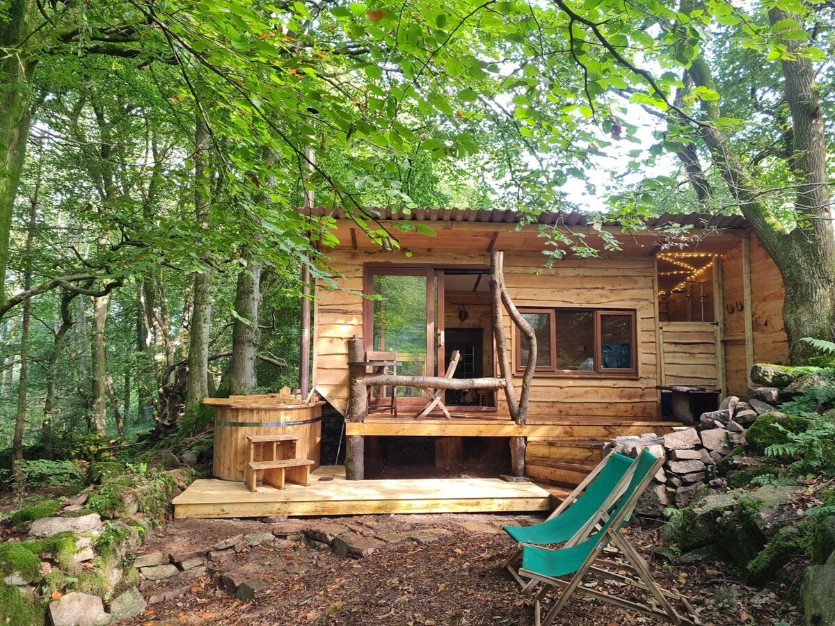 Woodland Hideawayhut, Wye Valley Forest of Dean