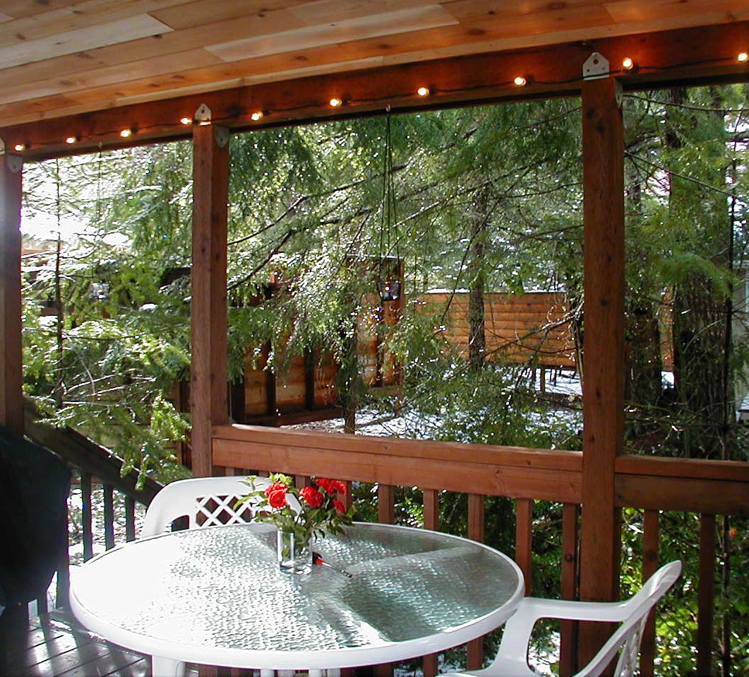 HotTub~FireplaceLodging@Mt Rainier Mtn Lily Cabin