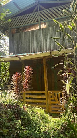 Listing in Southern Caribbean Coast