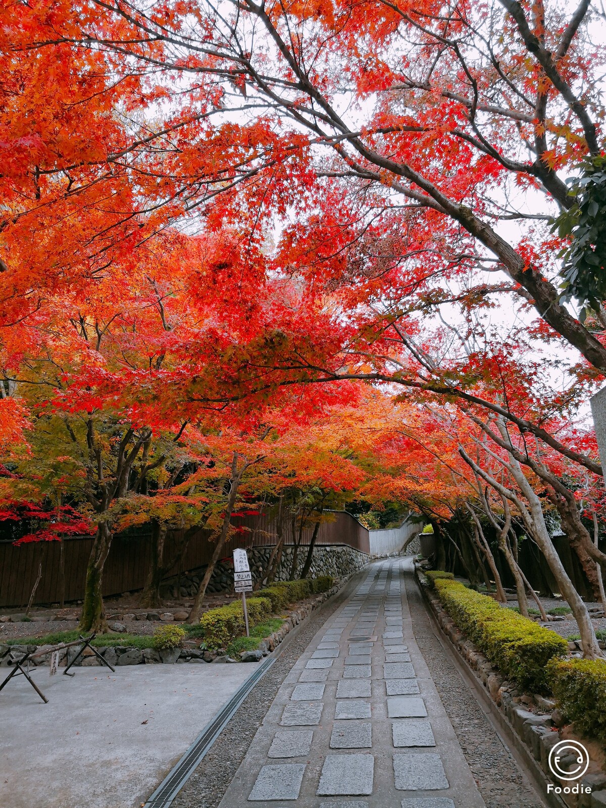 京都站1站地東福寺紅葉景區混合8人宿舍1張床位F