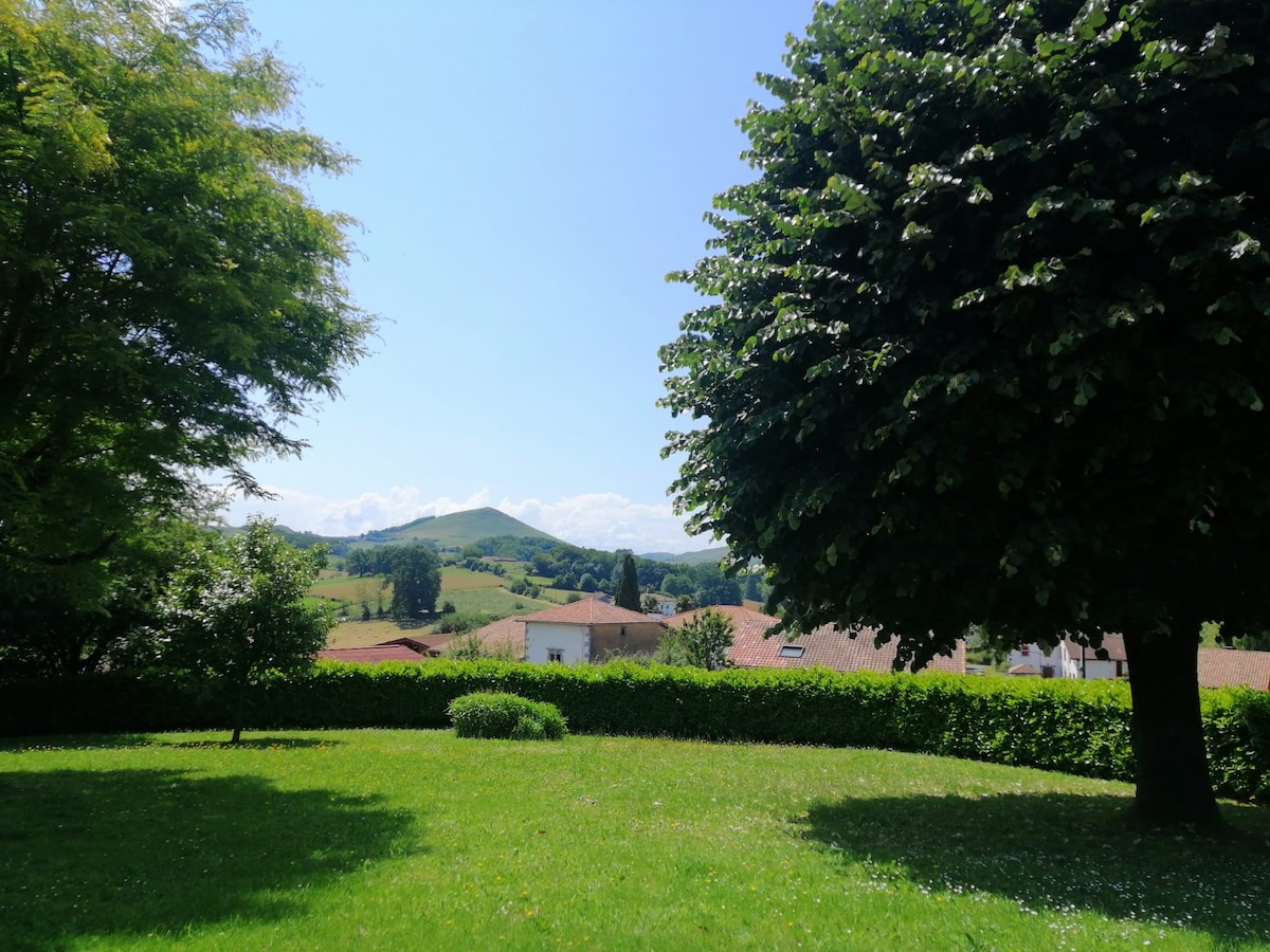 Apt avec vue sur les montagnes