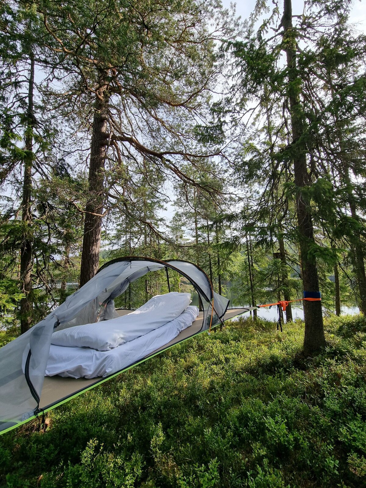 Experience the nature of Oslo in a tree tent