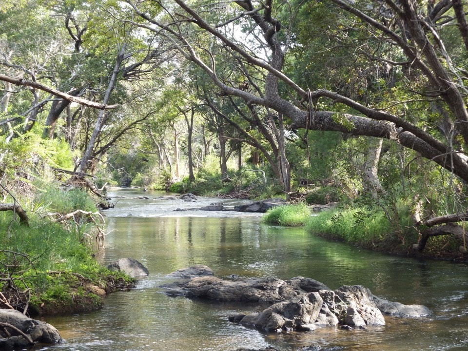 Blyde River Cabins