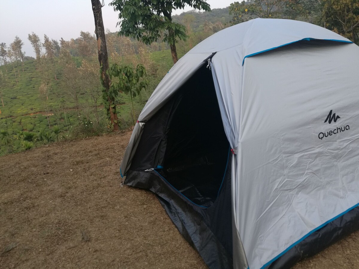 Green garden Tents