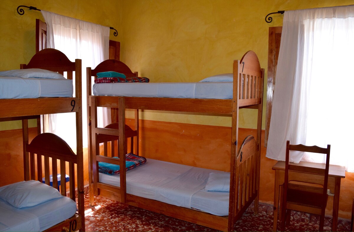 Copan 's Best Hostel Dormel Bed