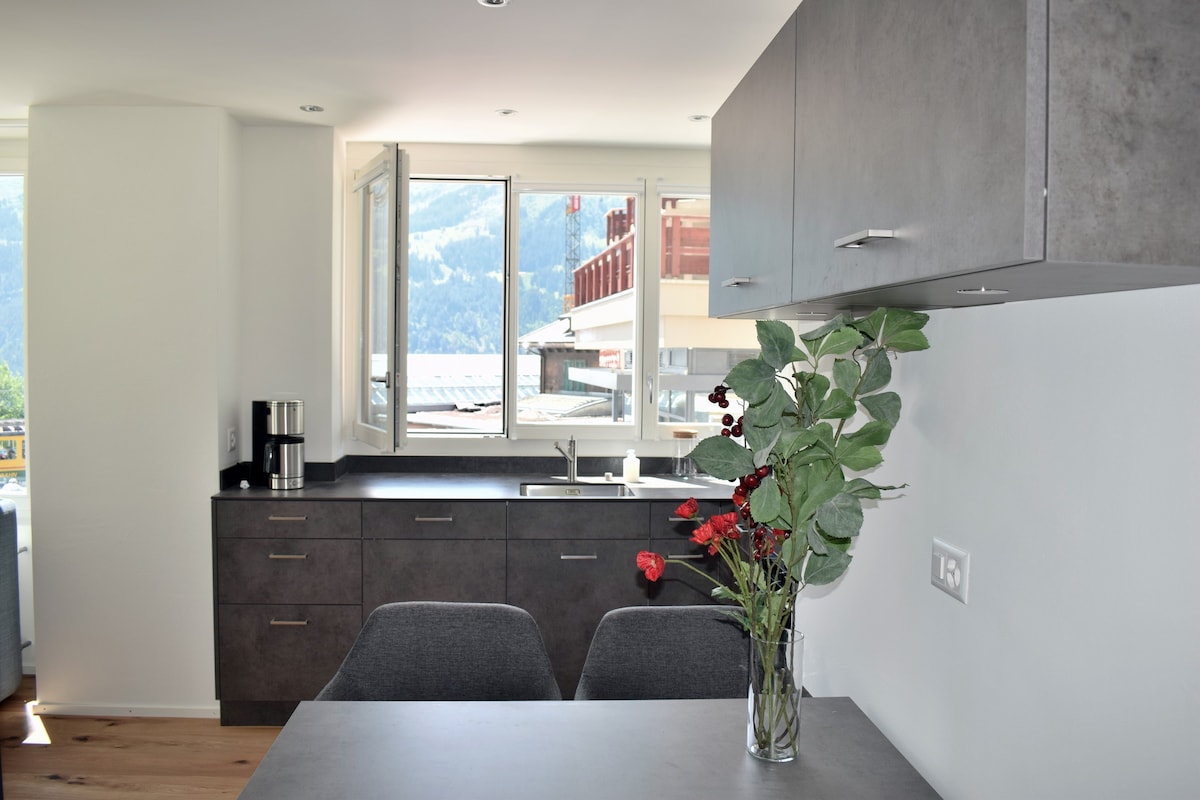 Eigerpeak公寓，阳台和Jungfrau景观