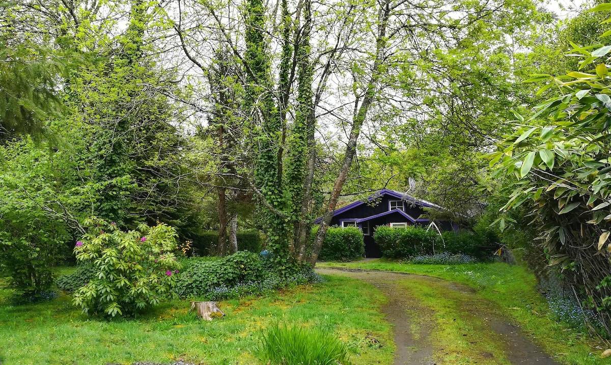 宽敞的小木屋，位于可爱的公园，距离市中心5分钟路程。