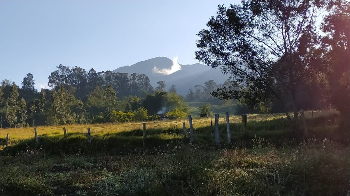 El Capricho Una Casa En El Campo