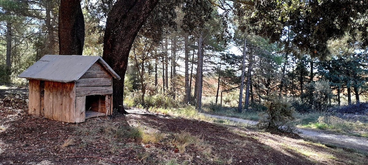 Villa Sanz, una casa en la naturaleza.