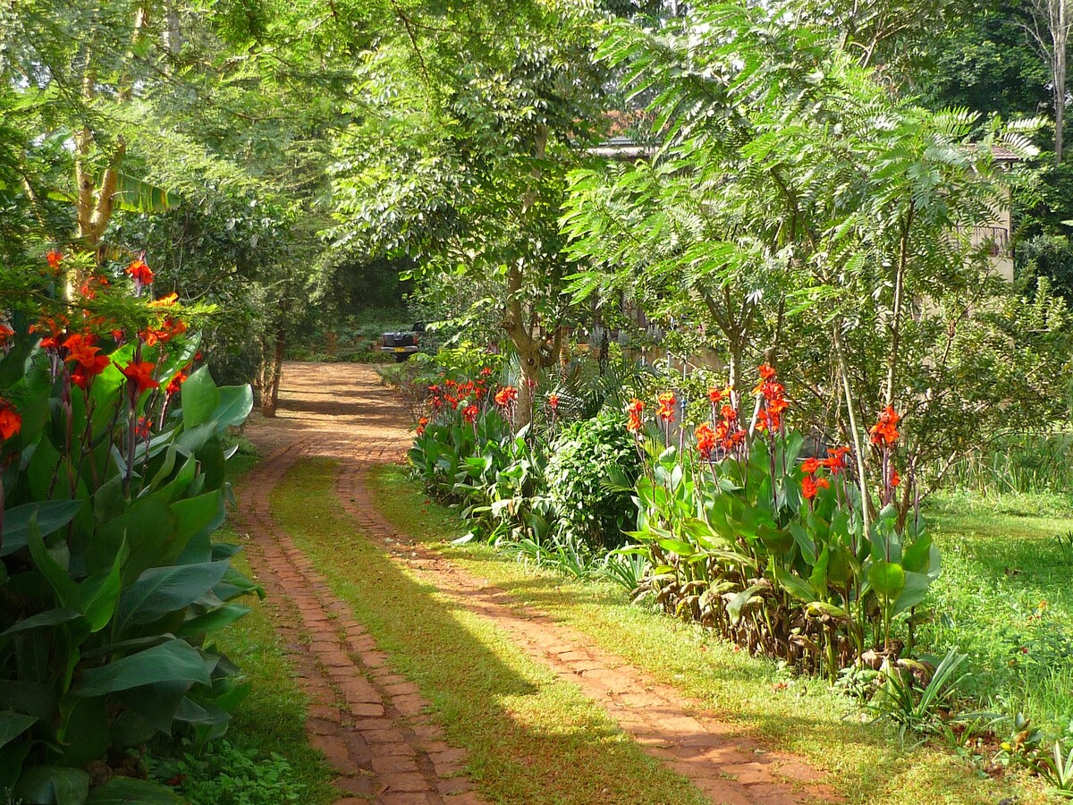 Lotus House - Annex