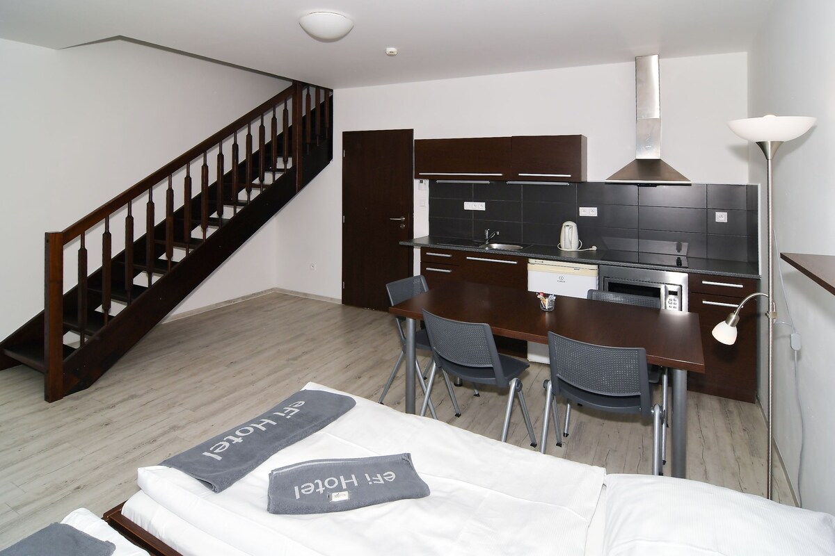 eFi Apartment Duplex with kitchenette and terrace