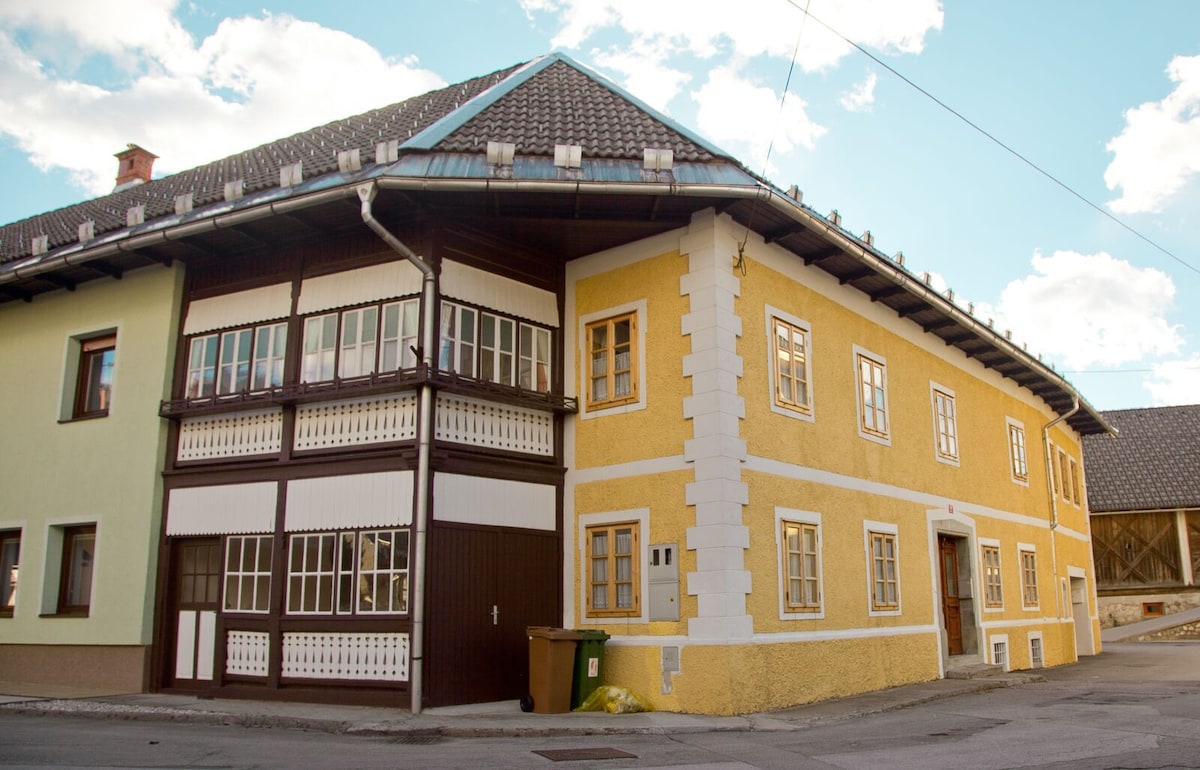 The 1882 Old House Vodnikova