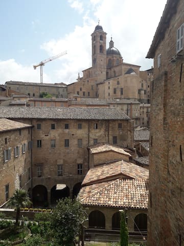 乌尔比诺 (Urbino)的民宿