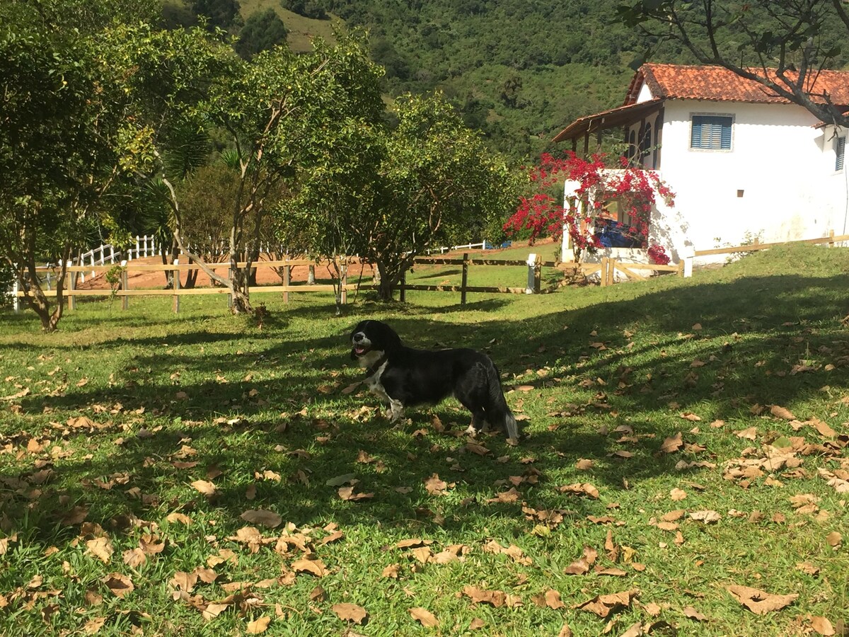 Sítio e Haras Alagoense - Alagoa/MG