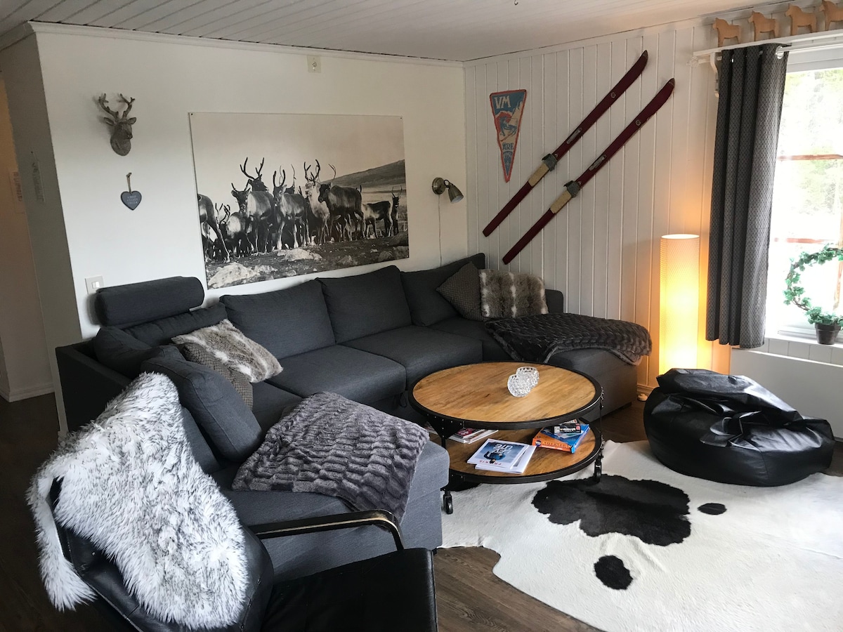 Årefjällen适合家庭入住的小屋