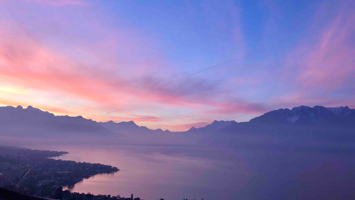 Lavaux Cottage -可欣赏独特景观的迷人别墅！