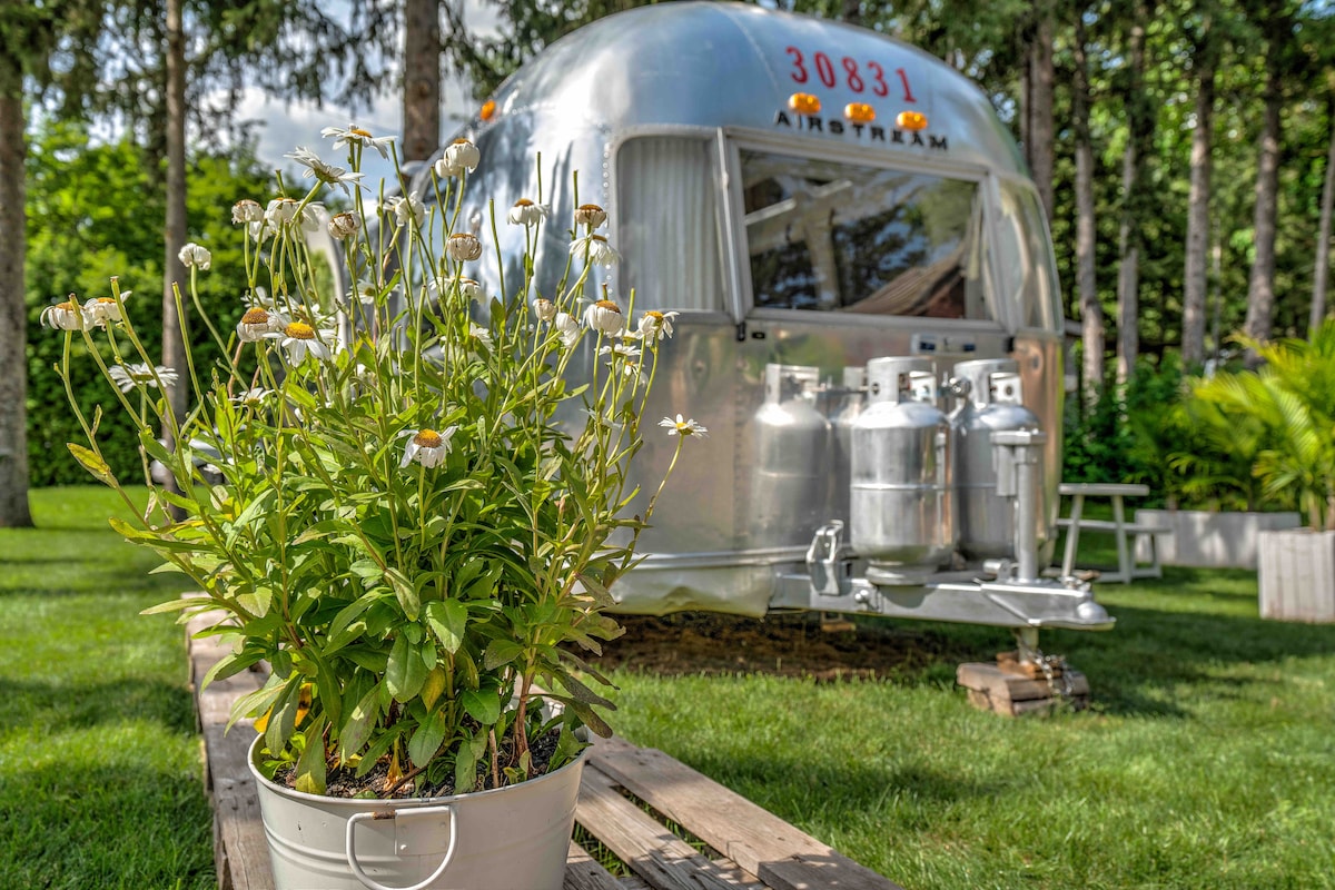 Daisy-Luke The Airstream