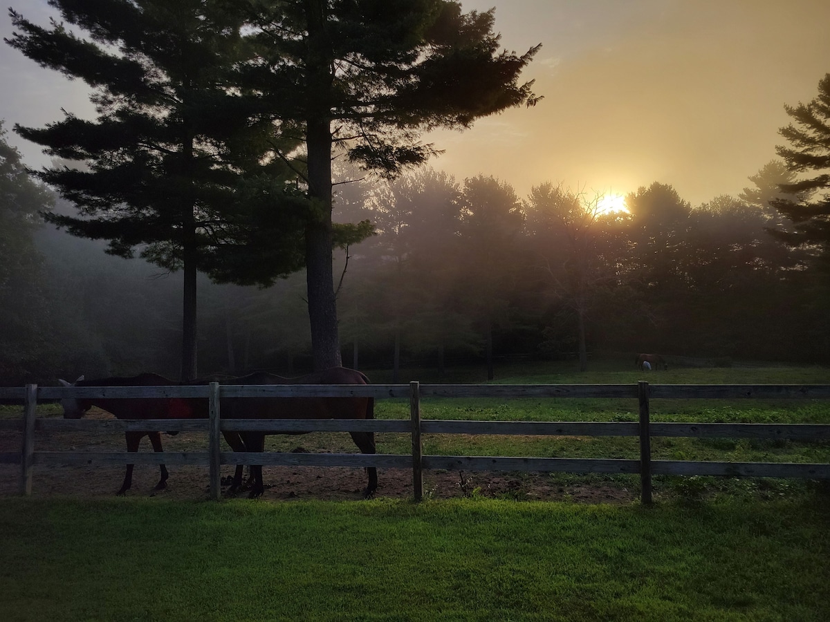 Magical 1-br suite on 65 acre horse property