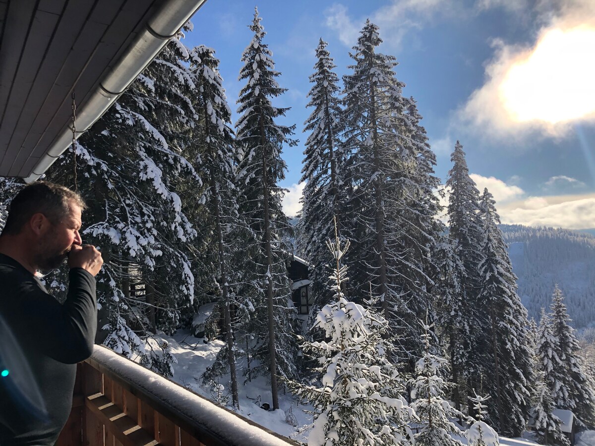 Haus Sonnenschein im Lachtal