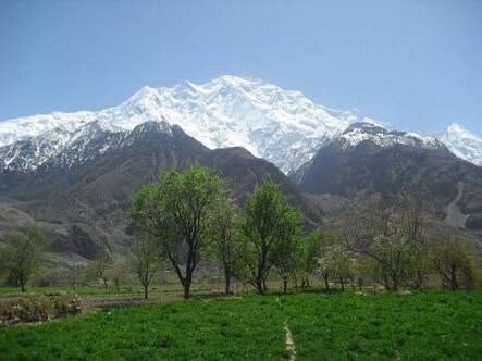 Hunza Farm Stay