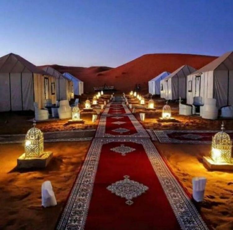 沙漠营地