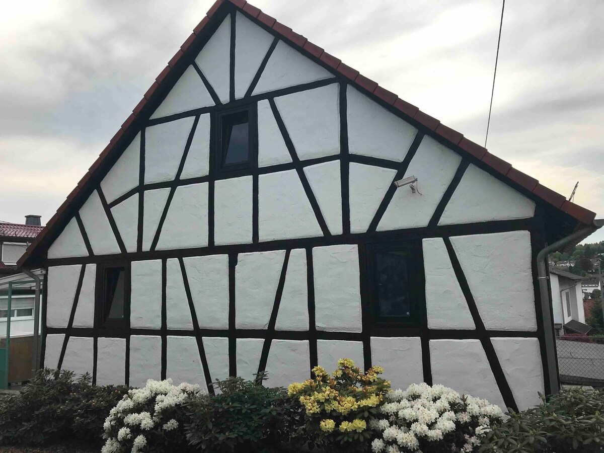 Ferienhaus mit Sauna im Taunus, ruhige Lage