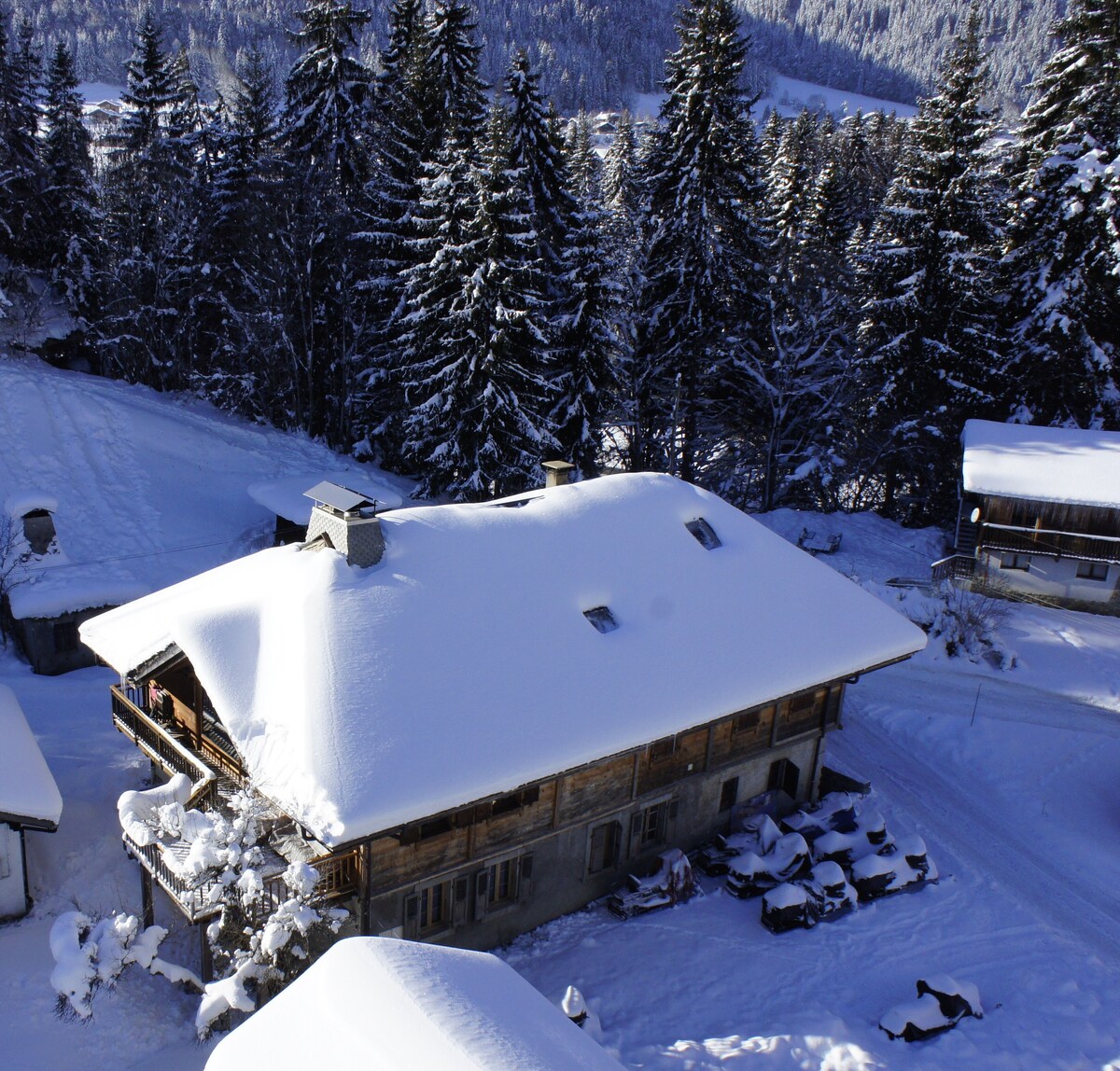 "La Grange à Tennesse" Chalet Savoyard Montriond