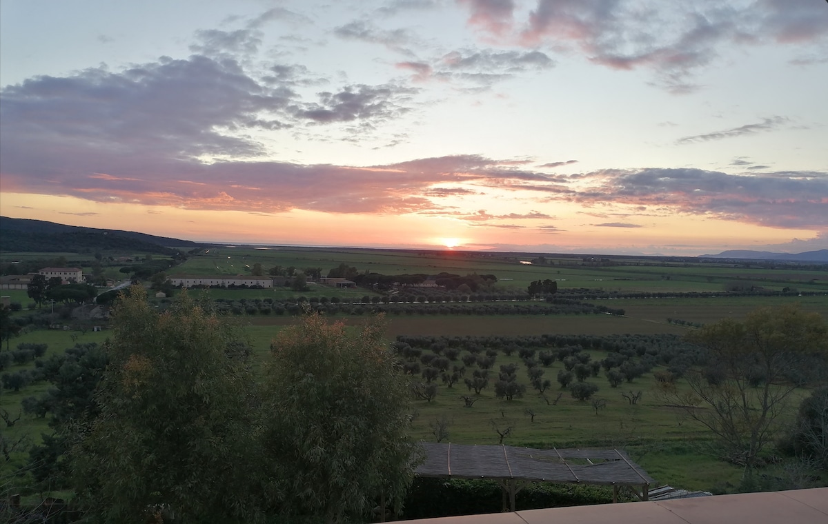 La terrazza sul mare