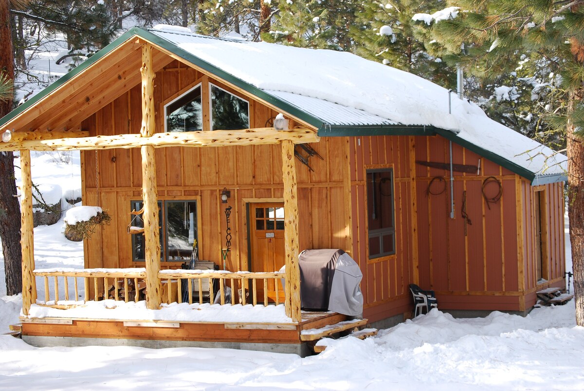 Elk Ridge Cabin in the pines