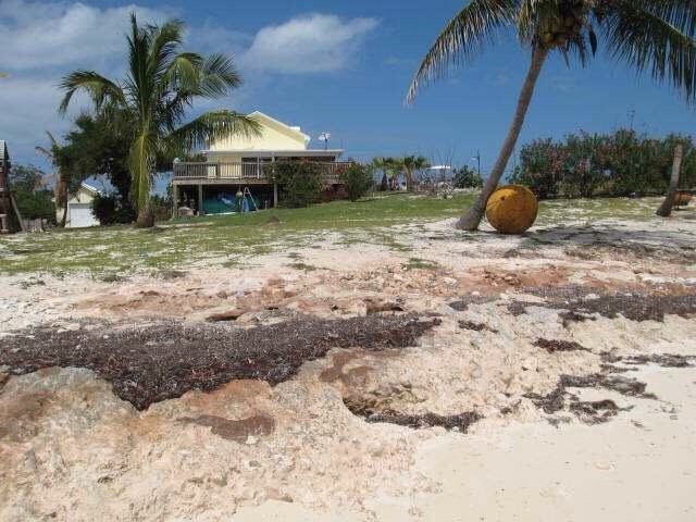 滨海皇家景观