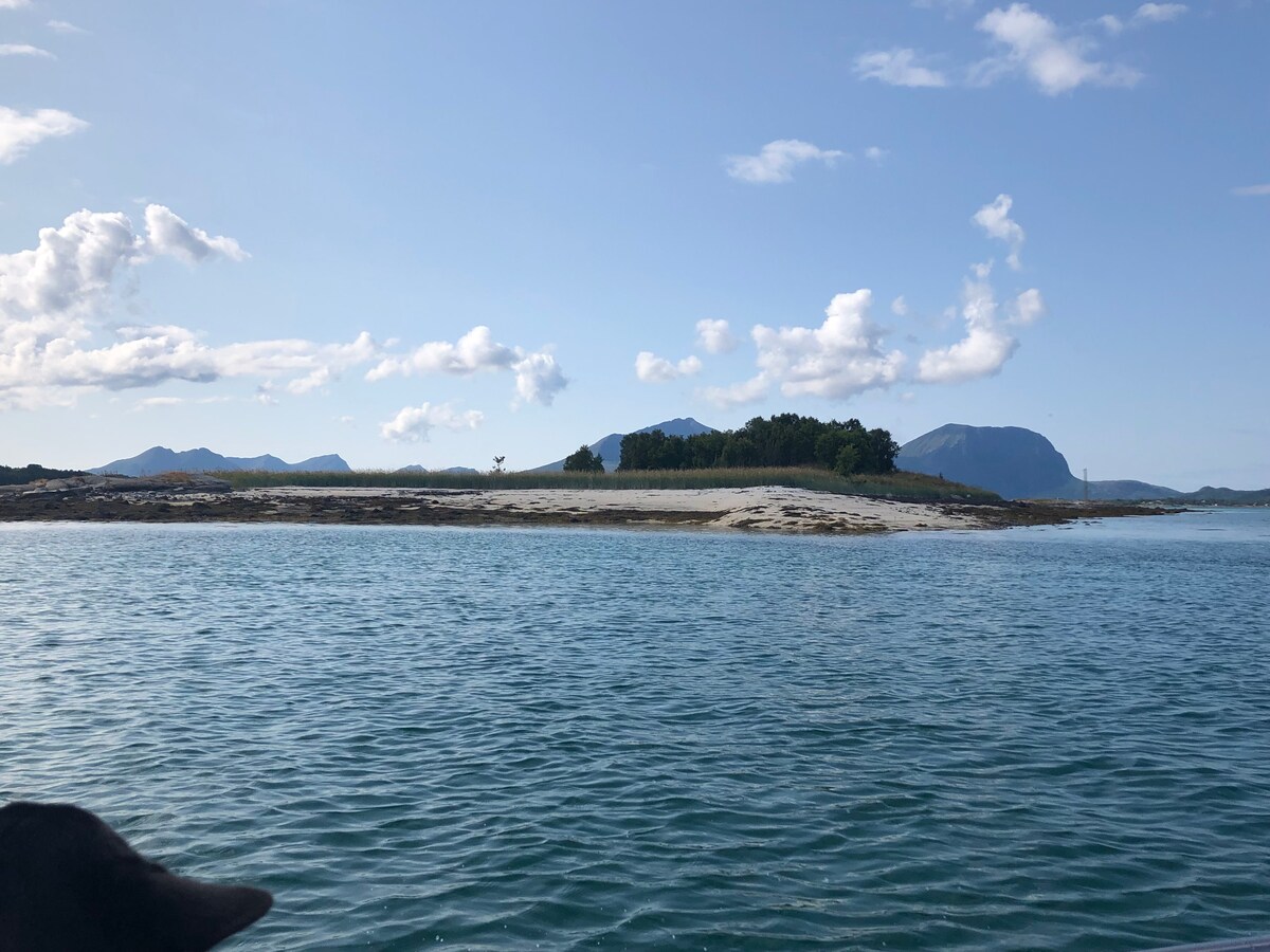 Fiske, naturopplevelser,  ørn, fjell og nordlys.