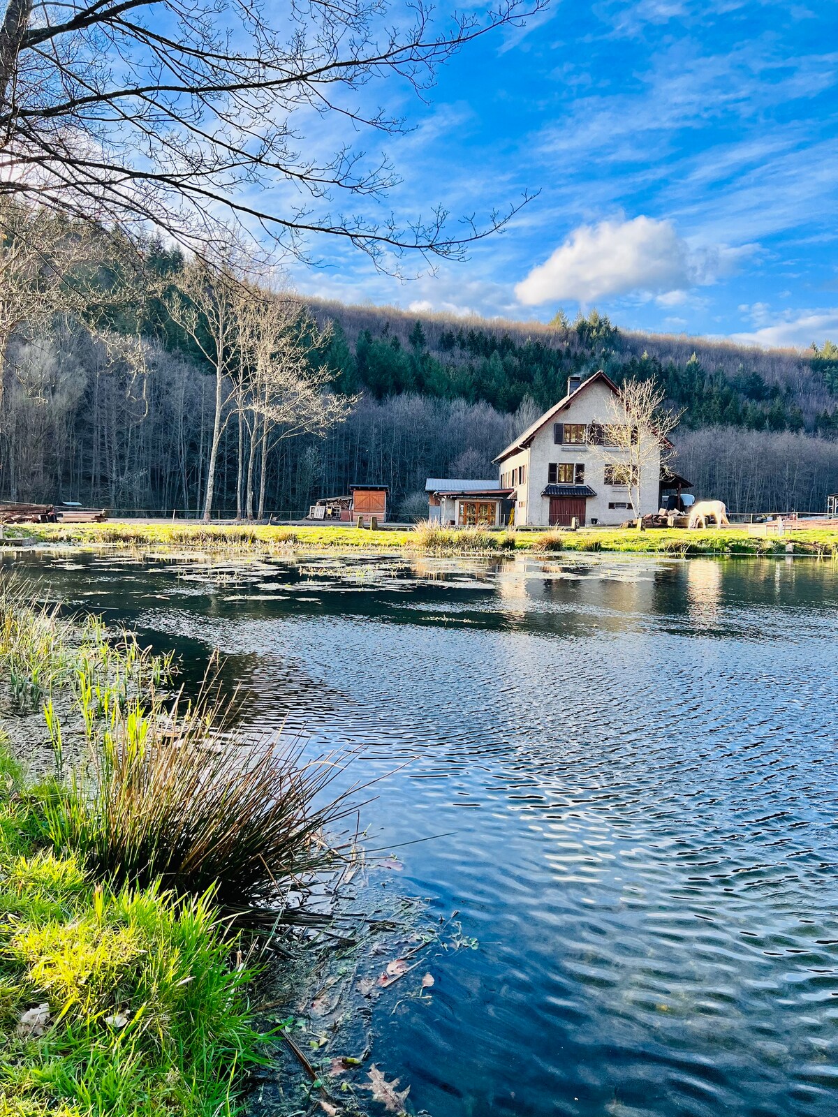 Maison d'hôtes en pleine nature avec des chevaux