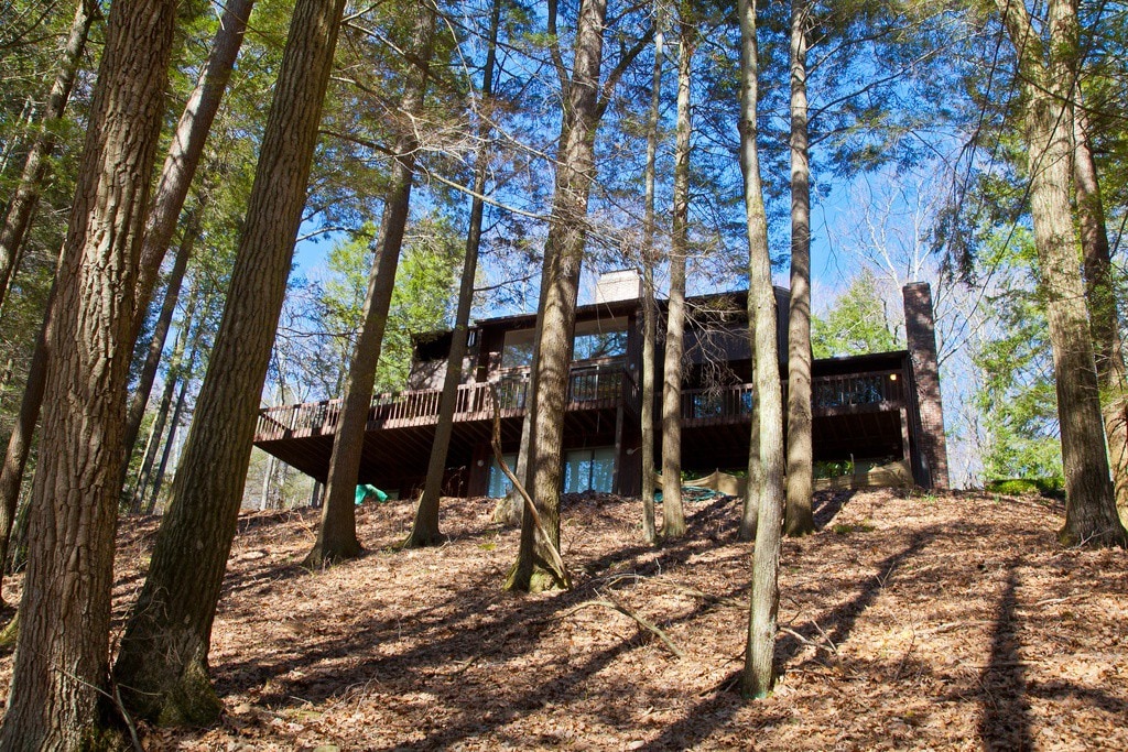 树屋：森林中的现代家园