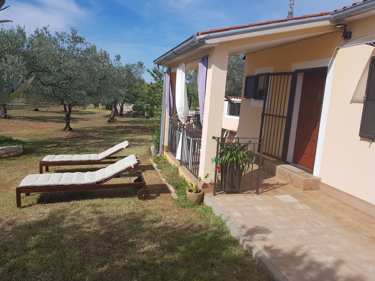 House Fazana between olive trees and peace