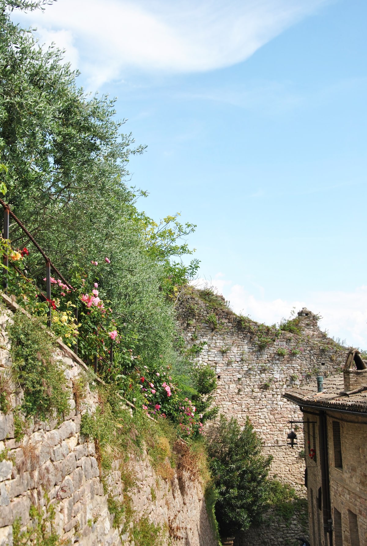 CIVICO 5 -阿西西（ Assisi ）的舒适房源