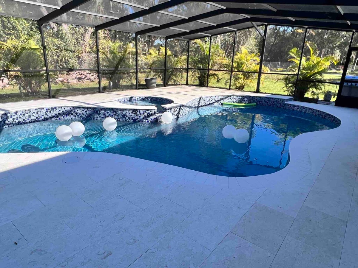 佛罗里达州坦帕带泳池的华丽农舍