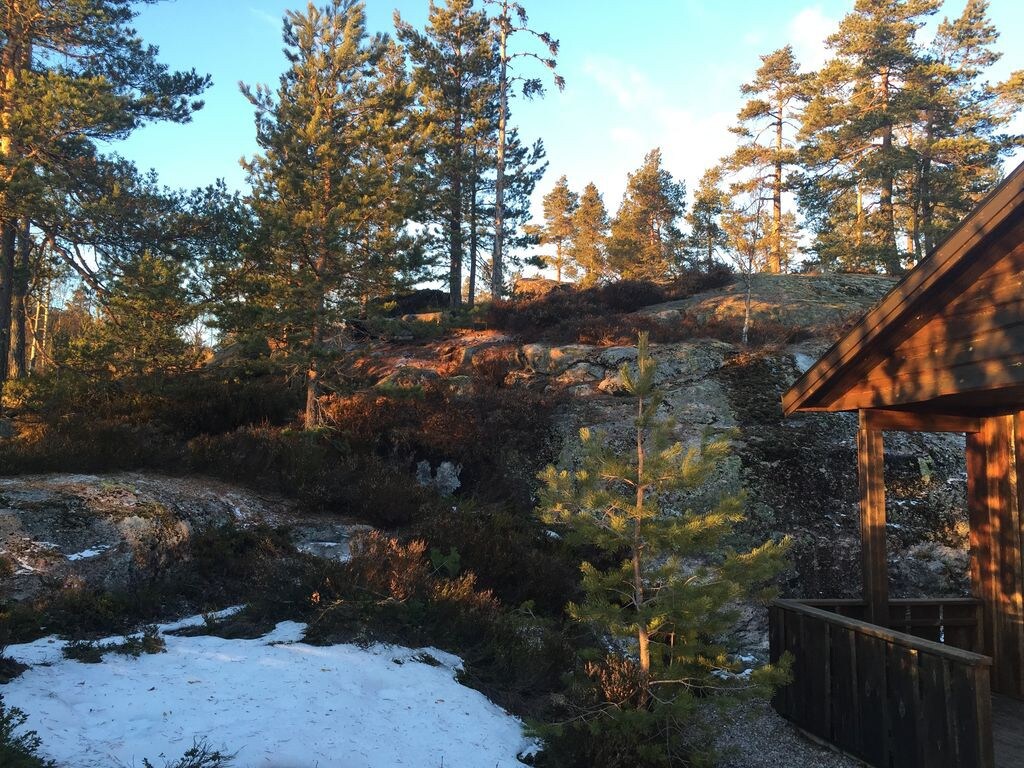Telemark Cottage ，在大自然中放松