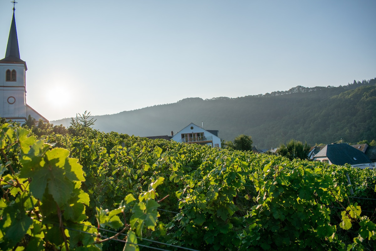 Ferienwohnung Weingut Johanneshof - Moselblick