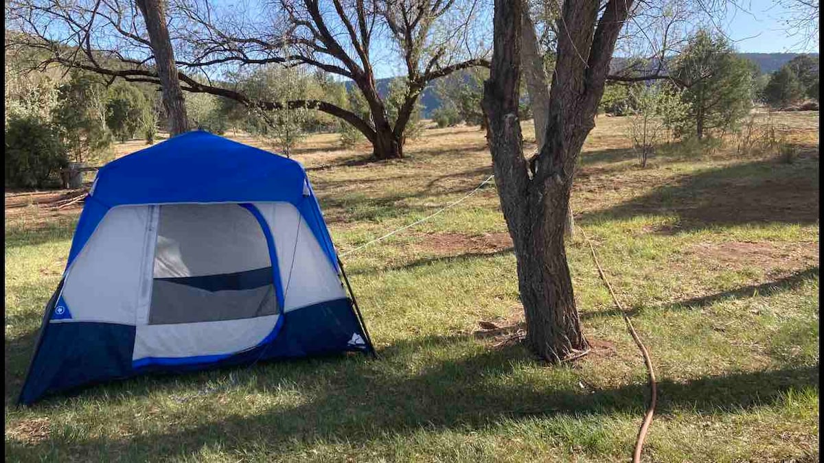 Life Water The Avenue Campsite