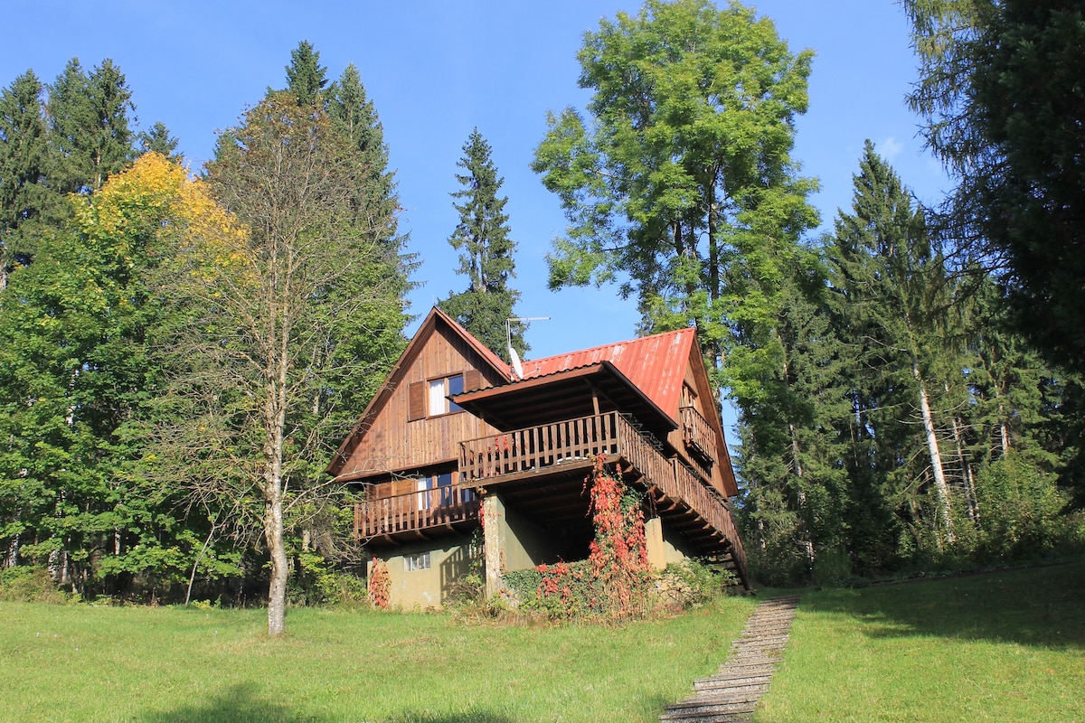 CHALET AI MARGINI DEL BOSCO