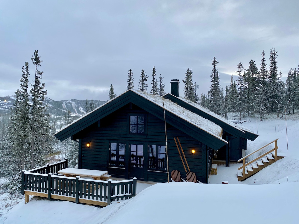 New beautiful cabin at Gaustablikk