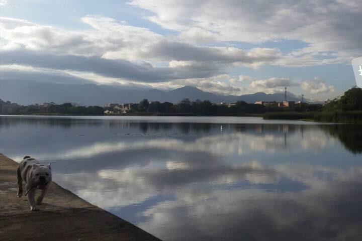 波哥大(Bogotá)的民宿