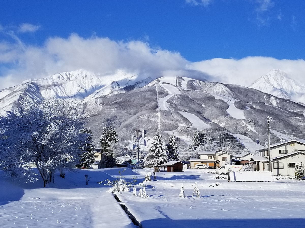 Stunning  Alps Views