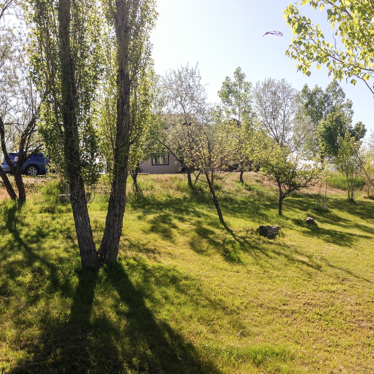 愈合圣地，欣赏梅萨维尔德风景